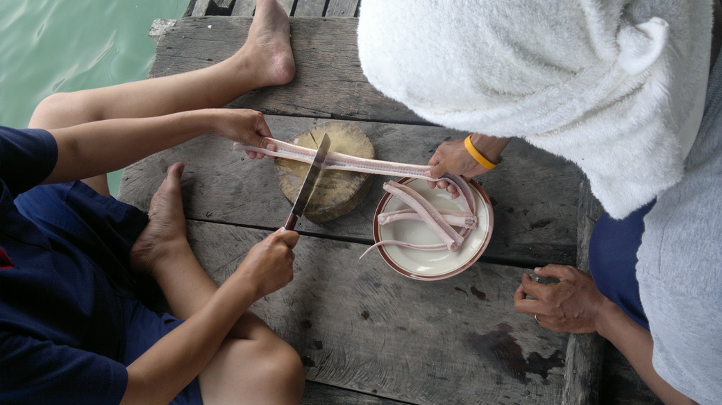 เกือบโดน...ที่เขื่อนเขาแหลม