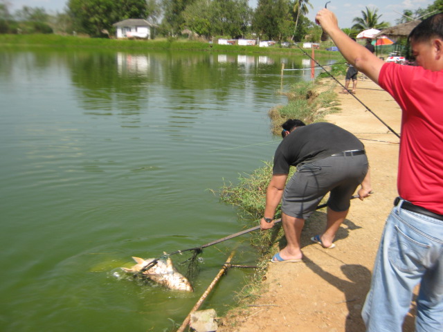 ตกปลากับเพื่อนๆ1