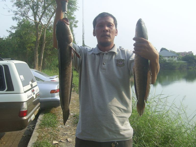 ช่อนใหญ่เมืองกรุง (บางเขน)
