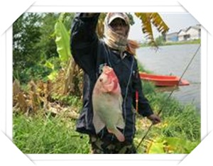 ช่อนไม่กัด เลยต้องอัดนิลจา2
