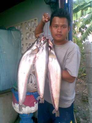 O_O..เบี้ยว+แดง..O_O