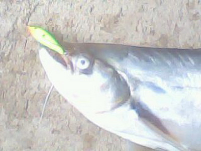 O_O..รวมๆๆคับ..O_O