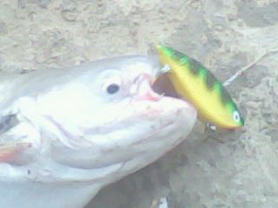 O_O..รวมๆๆคับ..O_O