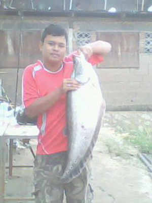 O_O..ปลากรายเจ้าพระยา..O_O