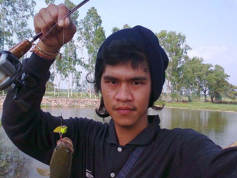 ปลาช่อน พิจิตร..