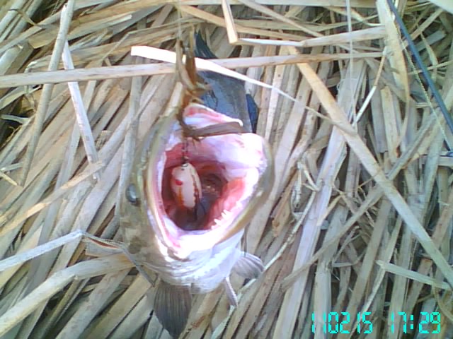 ลองทำ ลองเทส 2