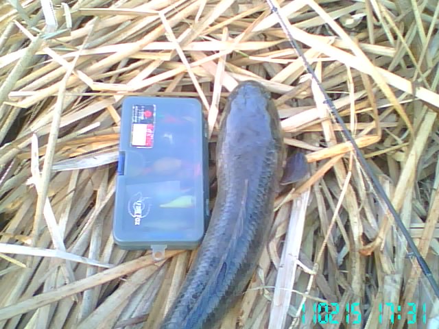 ลองทำ ลองเทส 2