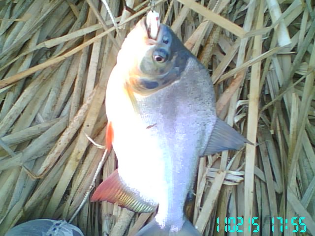 ลองทำ ลองเทส 2