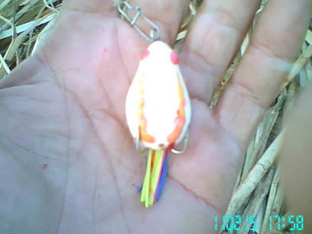 ลองทำ ลองเทส 2