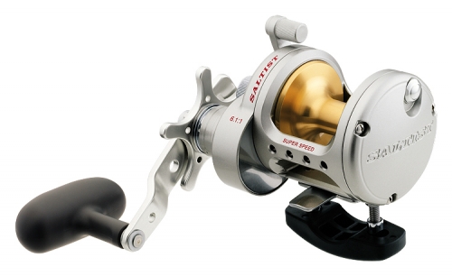 Daiwa Saltish 20H