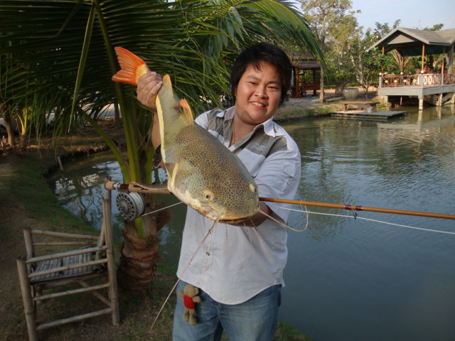 วันว่างๆๆ กับ อเมซอล(BKK) สาย 1 คับ