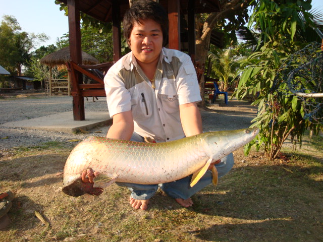 วันว่างๆๆ กับ อเมซอล(BKK) สาย 1 คับ