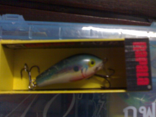 ปลานิล ปลาช่อน บ่อวังหมั้น จ.ตาก  Rapala Fat  Rap 
