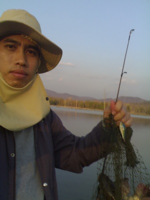 ปลานิล ปลาช่อน บ่อวังหมั้น จ.ตาก  Rapala Fat  Rap 