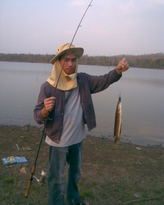 ปลานิล ปลาช่อน บ่อวังหมั้น จ.ตาก  Rapala Fat  Rap 