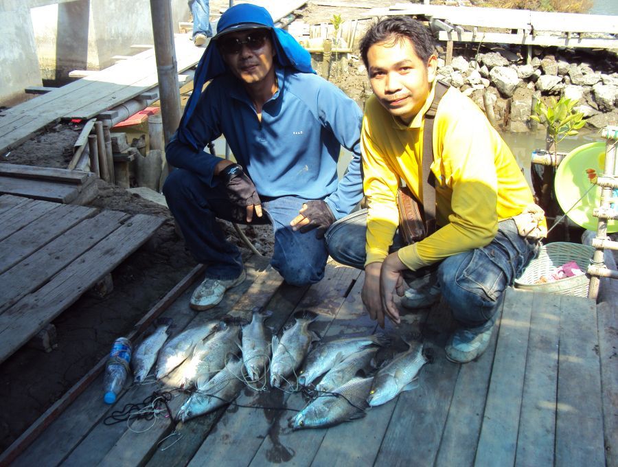 สุดมันส์ บ่อกระพงน้องวิน เสาร์26 กุมภาพันธ์ 2554 