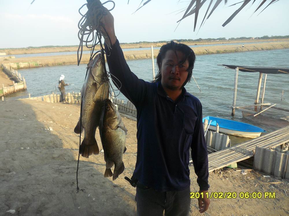 +++กัดกระจาย2+++