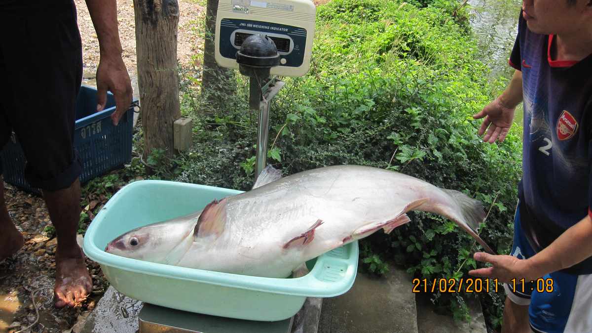 ภูผาฟิชชิ่งปาร์ค