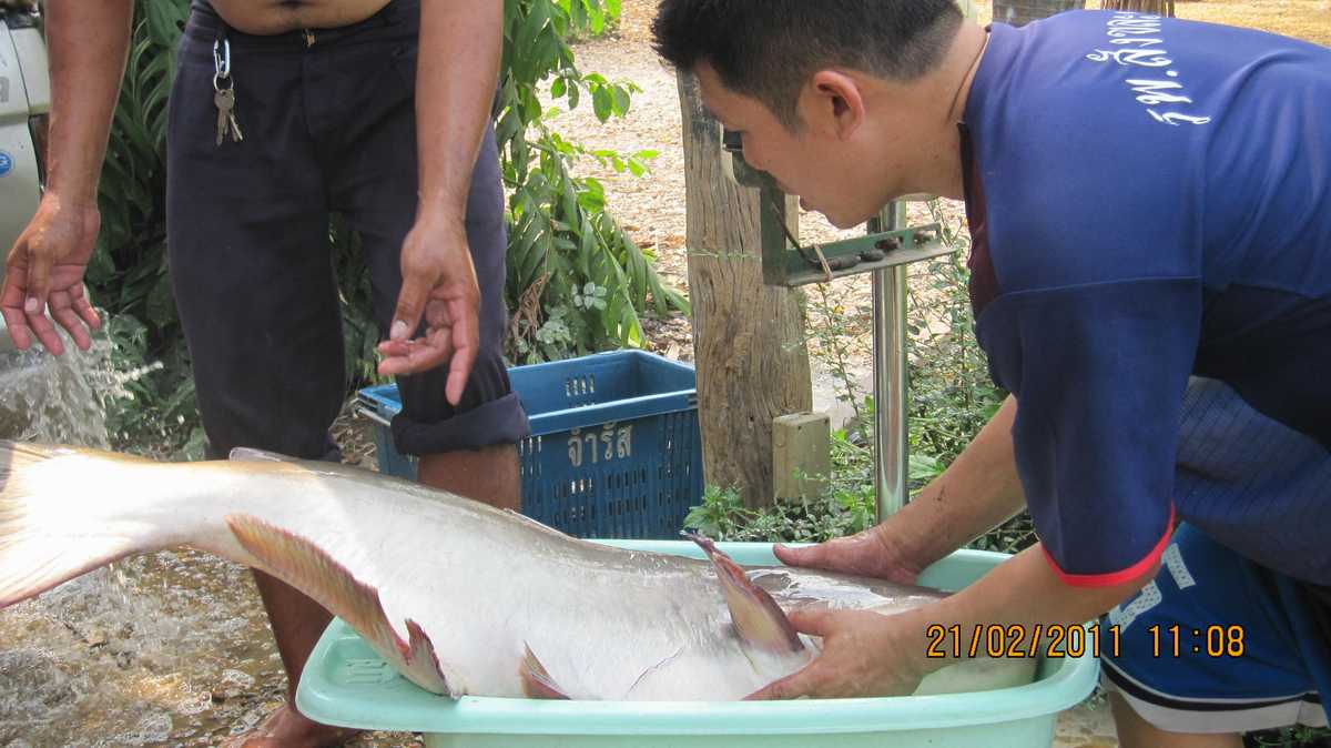 ภูผาฟิชชิ่งปาร์ค