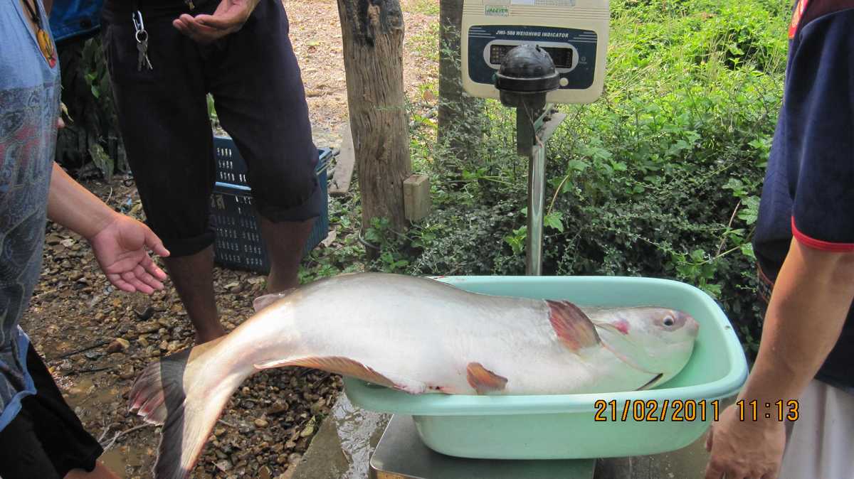 ภูผาฟิชชิ่งปาร์ค