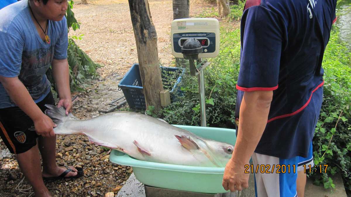 ภูผาฟิชชิ่งปาร์ค