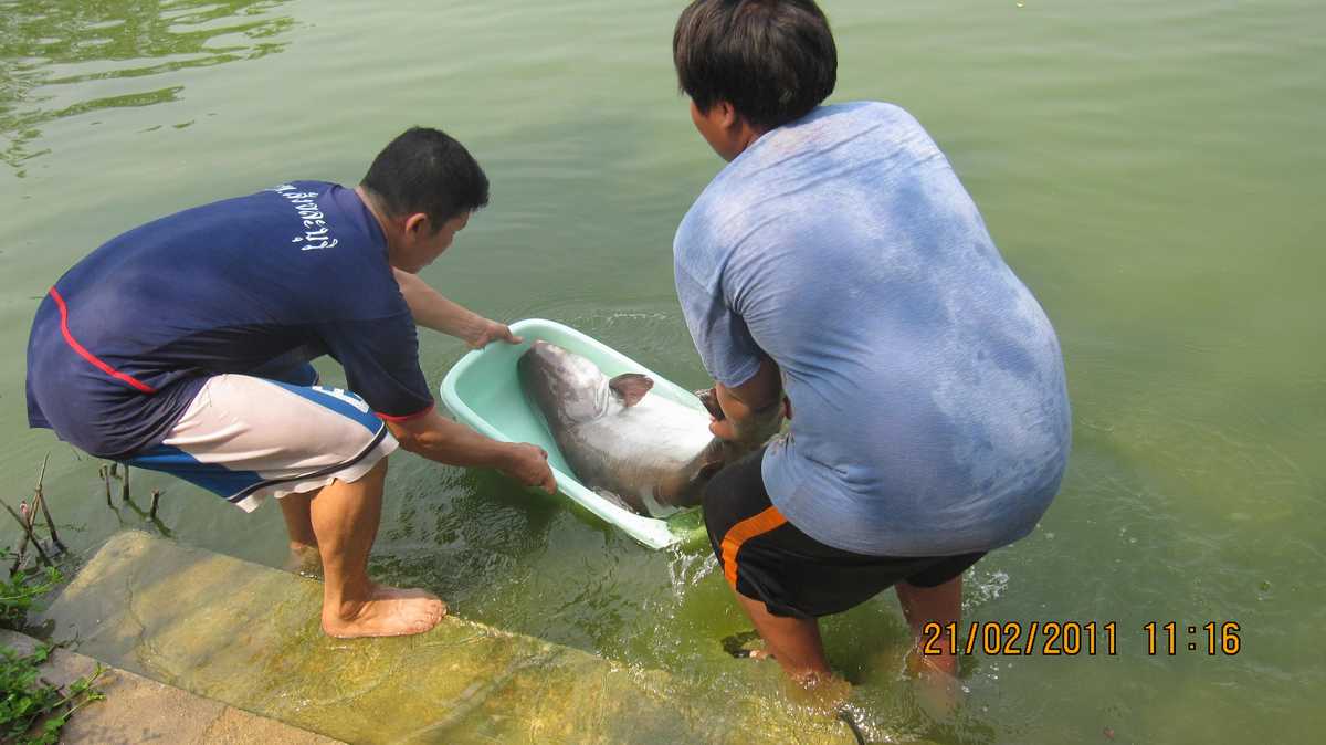 ภูผาฟิชชิ่งปาร์ค