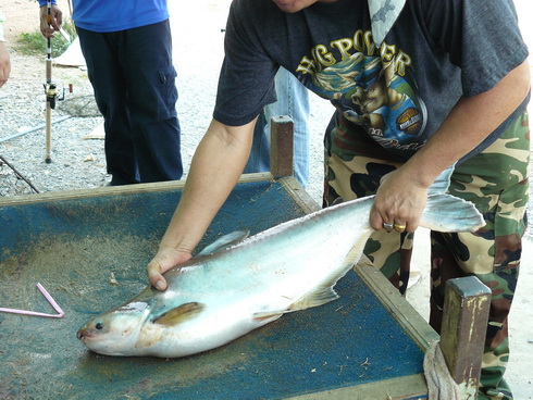 >@@<อาทิตย์ร้อนแรง++เจงๆนะ..จ้าวซันครับ