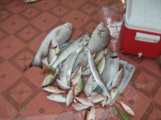 ไปตกปลากองหินมาบตาพุดระยองกัน 25/02/2011