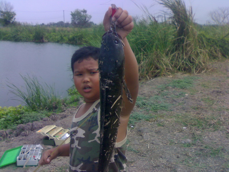 ยักษ์ ใหญ่แห่งป่าอ้อย
