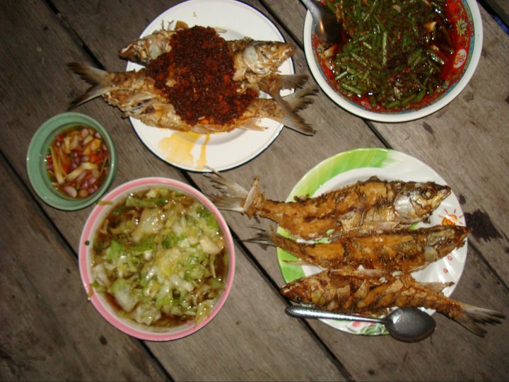 แพบางไทร สามวันสองคืน ปลา30ตัวขึ้นครับ
