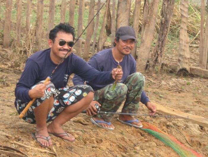 ชะโด...บุรีรัมย?  โดยทีมปลาจิบ