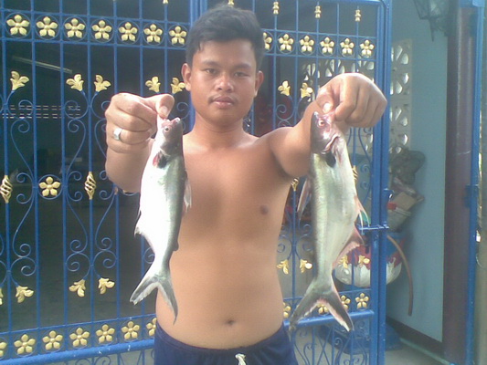 O_O..จะตัวเล็กตัวใหญ่เก็บหมด..O_O