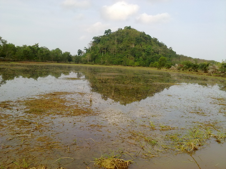 ตกเหยื่อปลอมที่พังงา&ตรัง4