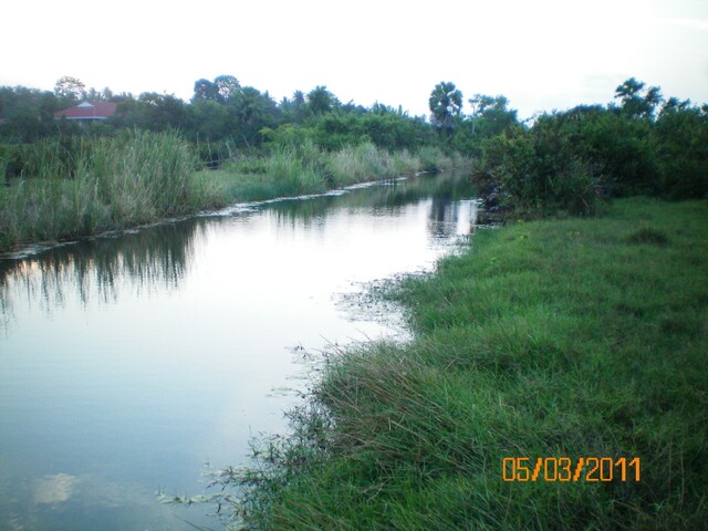 5มีนา54