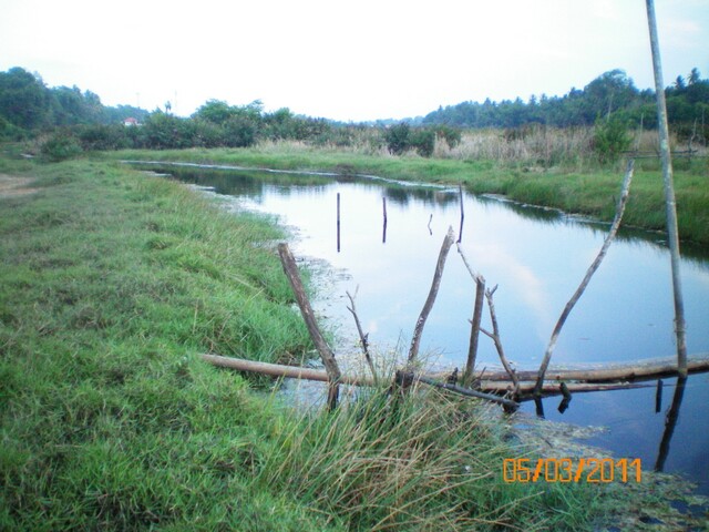 5มีนา54
