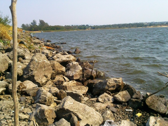 หนองกลางดง