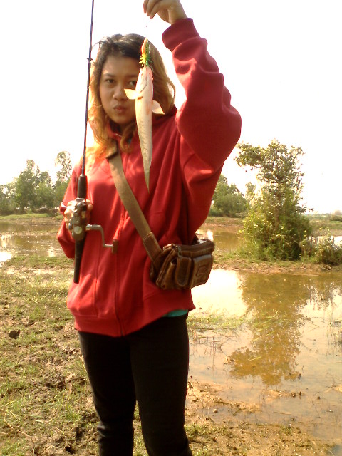 ปลาช่อนริมนาคับ