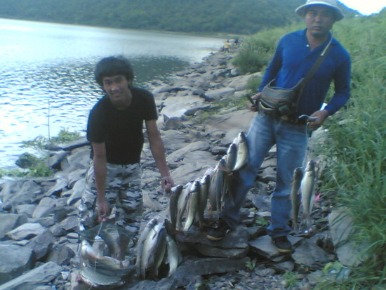 ท่าดินแดง