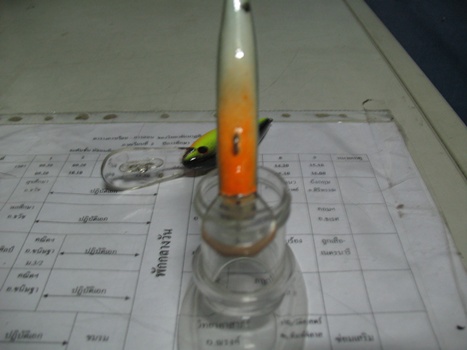 เอาปลามาให้ดูกันเล่นๆครับเผื่อคนที่กำลังจะทำ