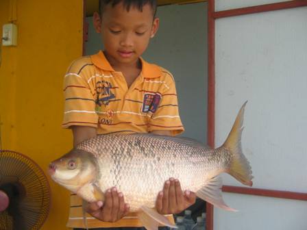 พาน้องตกปลาที่บางไทรคับ