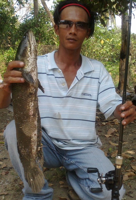 จัดหนักกับเทคซัสในคลอง