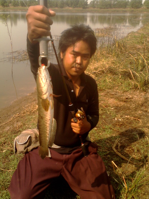 ทริปเล็ก ๆ กับปลาช่อน