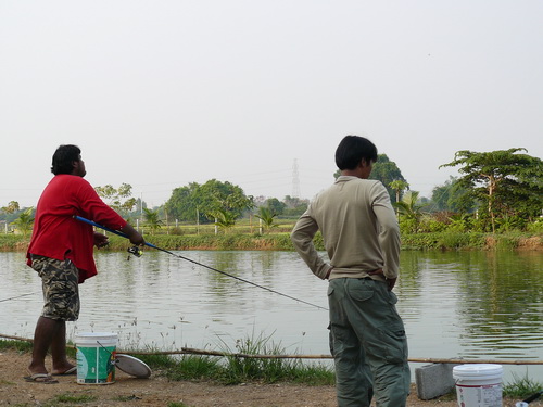 Sunday * L* Jao Sun Fishing