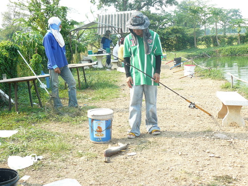 Sunday * L* Jao Sun Fishing