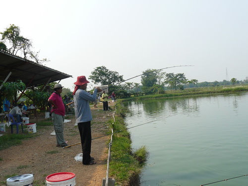 Sunday * L* Jao Sun Fishing