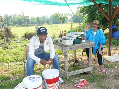Sunday * L* Jao Sun Fishing