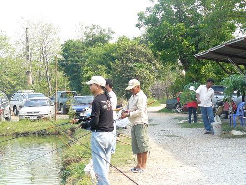 Sunday * L* Jao Sun Fishing