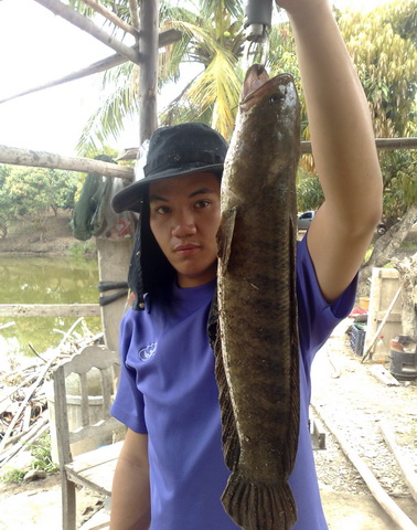 เทสเหยื่อใหม่(มือสอง)