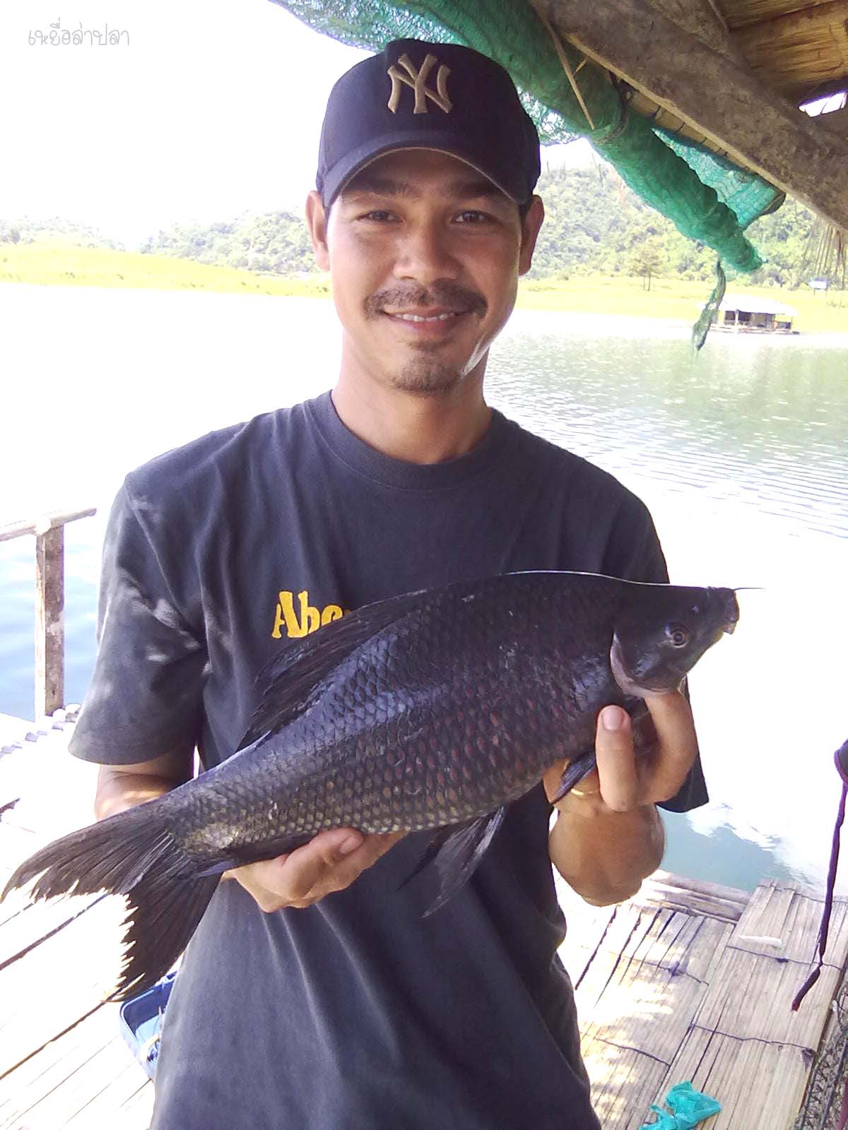 แพเล็กๆ แต่เขื่อนใหญ่