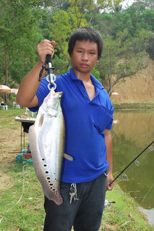 บ่อตกปลากระพง Pattaya R/C Fishing Park